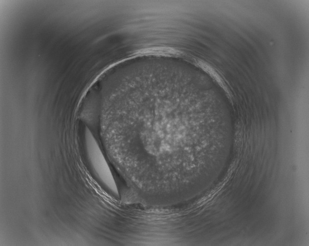 X0000081580923200702121444