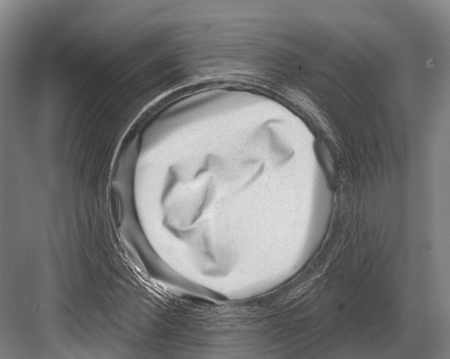 X0000081580924200702121444