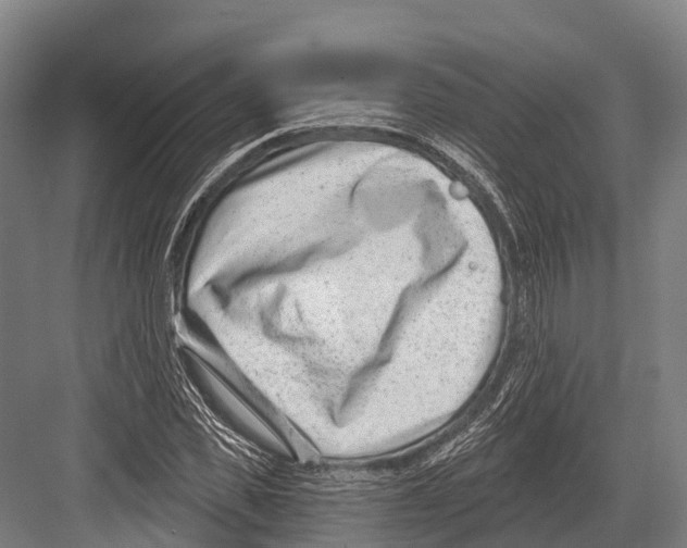 X0000081580925200702121444