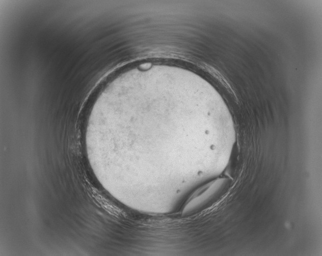 X0000081580926200702121444