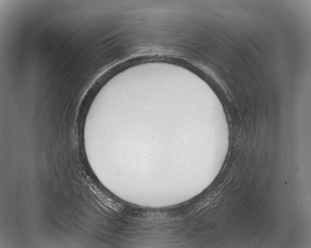 X0000081580927200702121444