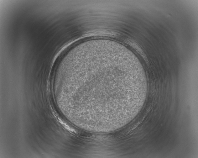 X0000081580928200702121444