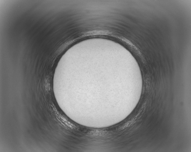 X0000081580929200702121444