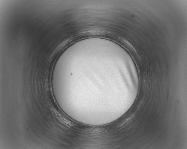 X0000081580930200702121444