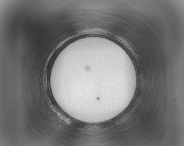 X0000081580931200702121444