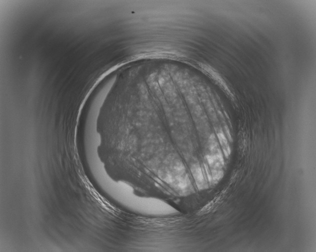 X0000081580932200702121444