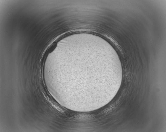 X0000081580933200702121444