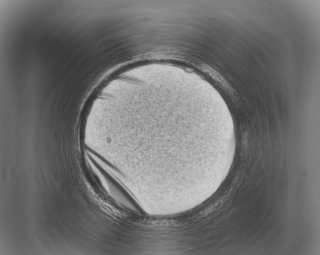 X0000081580934200702121444