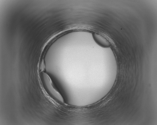 X0000081580936200702121444