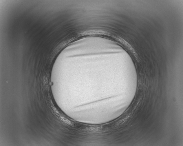 X0000081580937200702121444