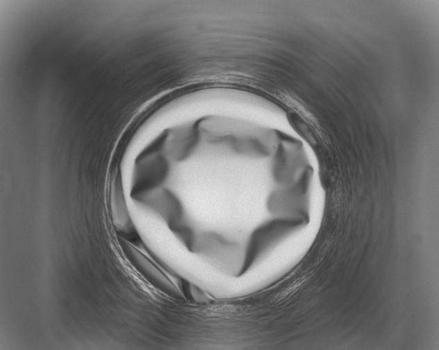 X0000081580940200702121444