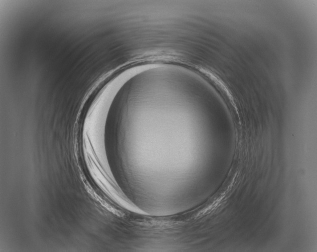 X0000081580941200702121444