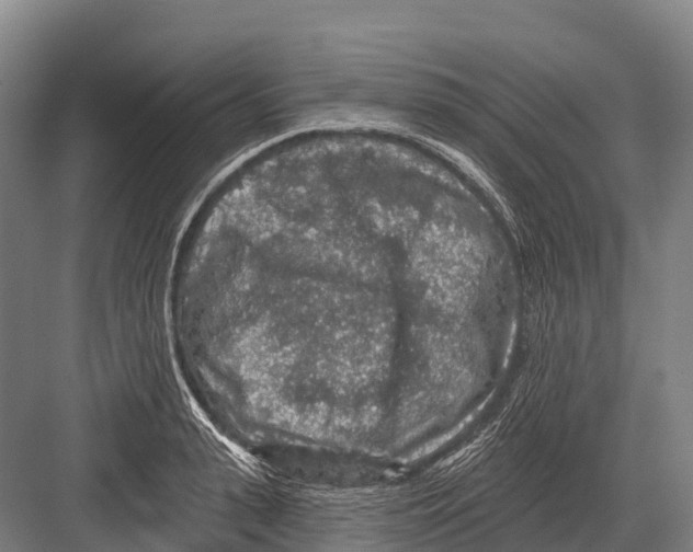 X0000081580943200702121444