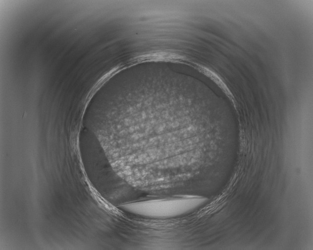 X0000081580946200702121444