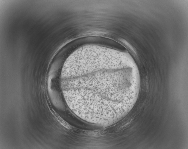 X0000081580948200702121444