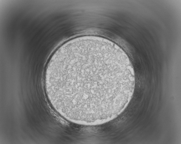 X0000081580950200702121444