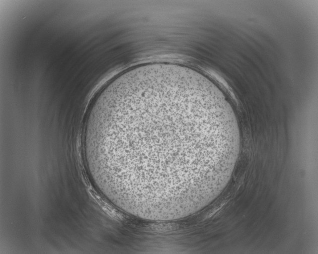 X0000081580952200702121444