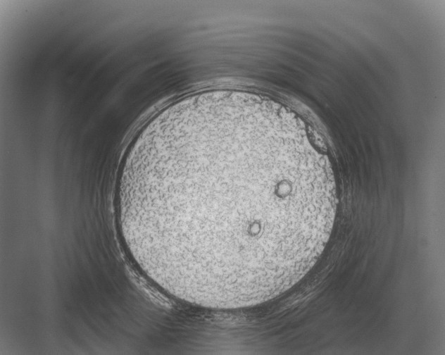 X0000081580954200702121444