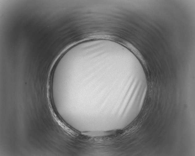 X0000081580955200702121444