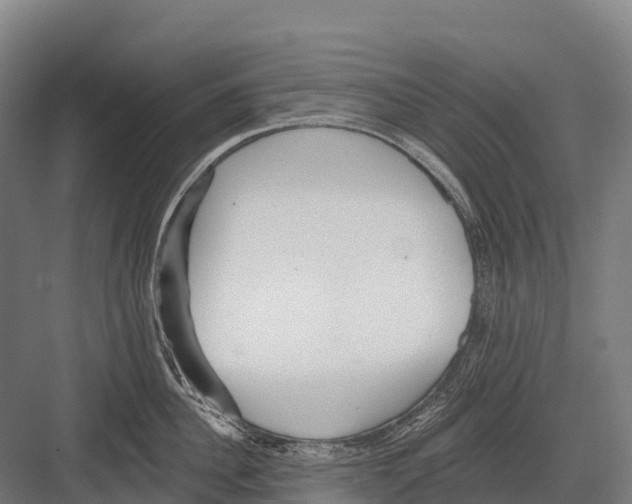 X0000081580956200702121444