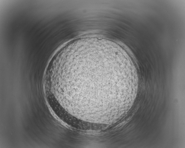 X0000081580957200702121444