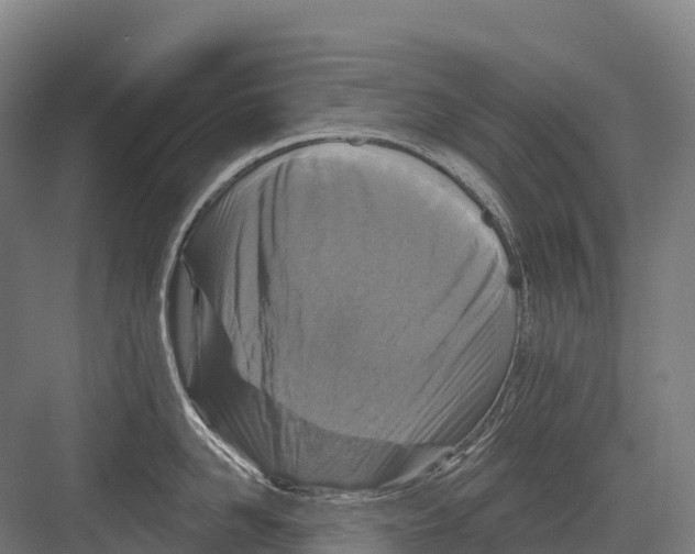 X0000081580958200702121444