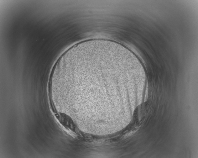 X0000081580959200702121444