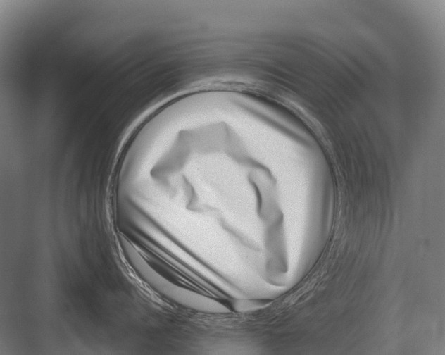 X0000081580960200702121444