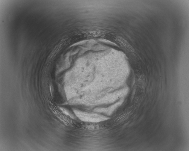 X0000081580961200702121443