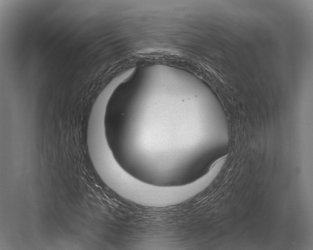 X0000081580965200702121443