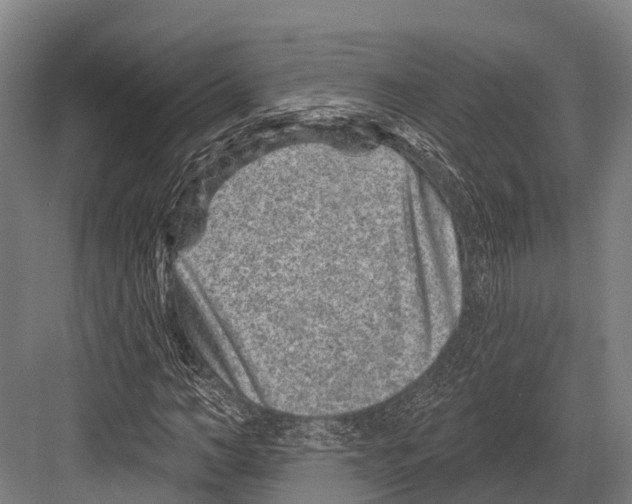 X0000081580966200702121443