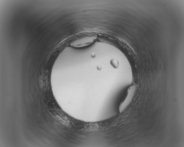 X0000081580968200702121443