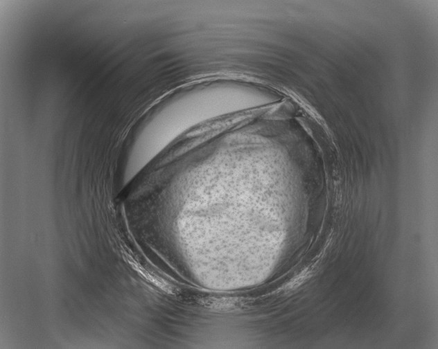 X0000081580969200702121443