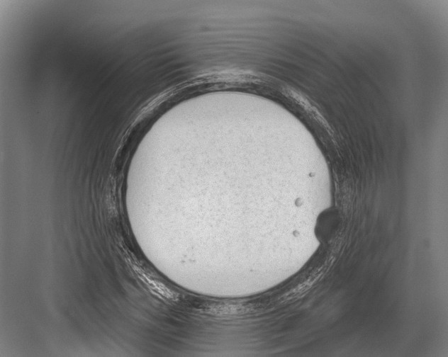 X0000081580970200702121443