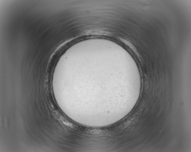 X0000081580971200702121443