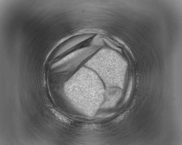 X0000081580973200702121443