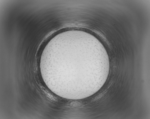 X0000081580974200702121443