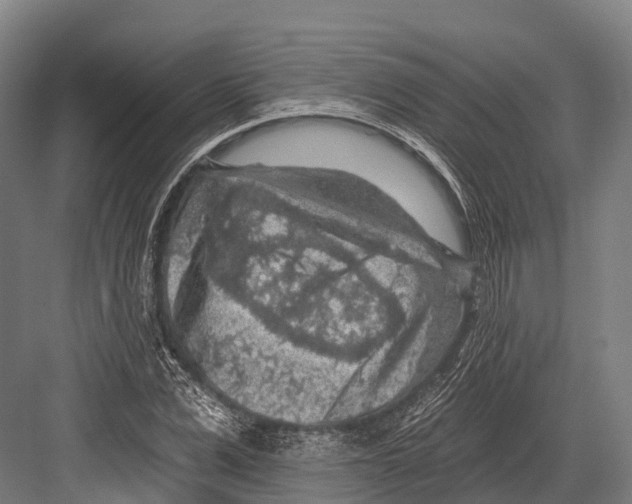 X0000081580975200702121443