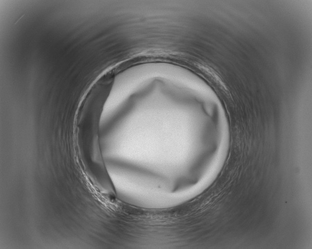 X0000081580976200702121443