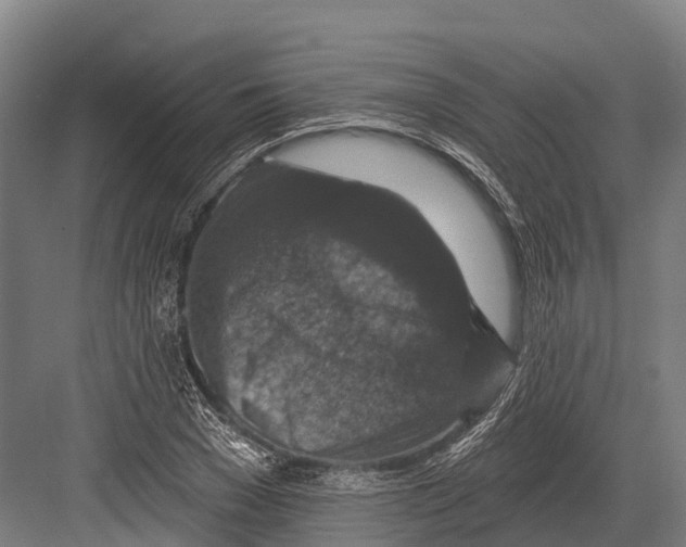 X0000081580977200702121443