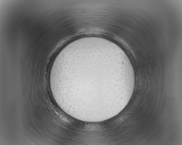 X0000081580978200702121443