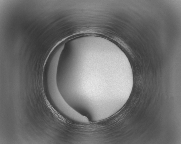 X0000081580980200702121443