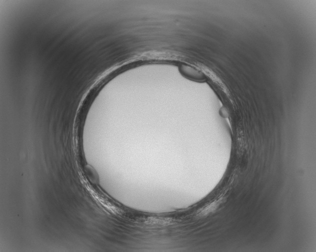 X0000081580981200702121443