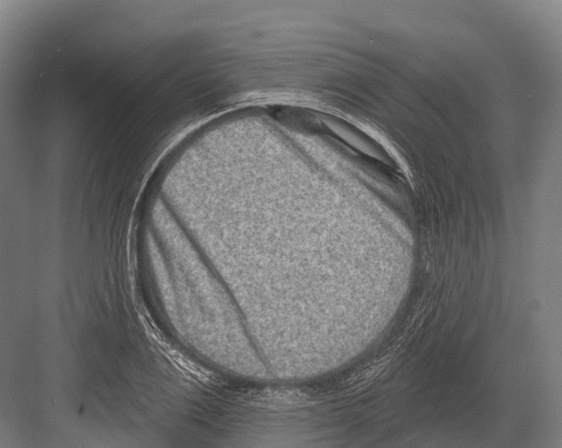 X0000081580983200702121443