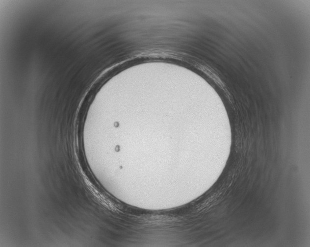 X0000081580984200702121443