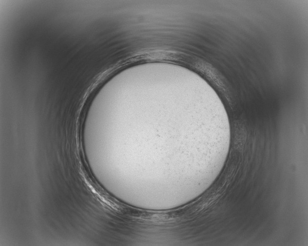 X0000081580986200702121443