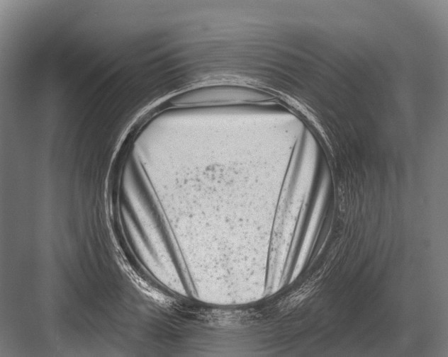 X0000081580987200702121443