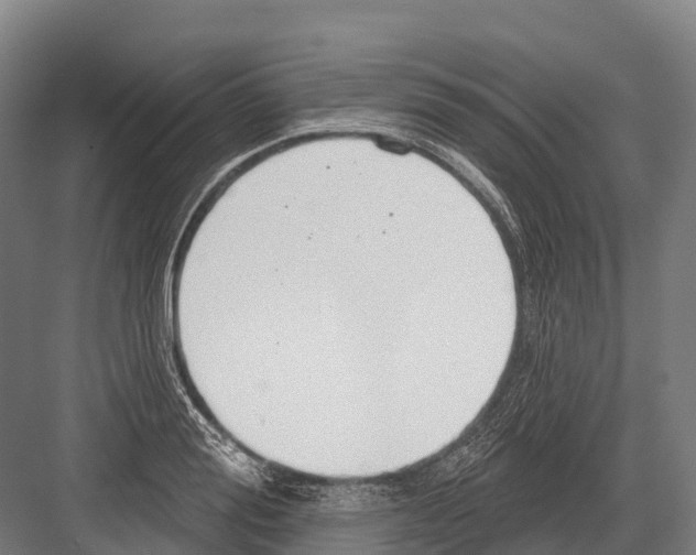 X0000081580988200702121443