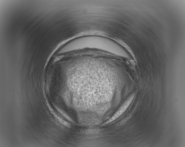 X0000081580989200702121443