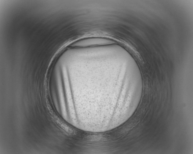 X0000081580990200702121443